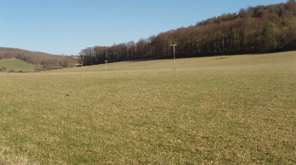 Goddard's Wood above Skirmett View from the end of Watery Lane.
