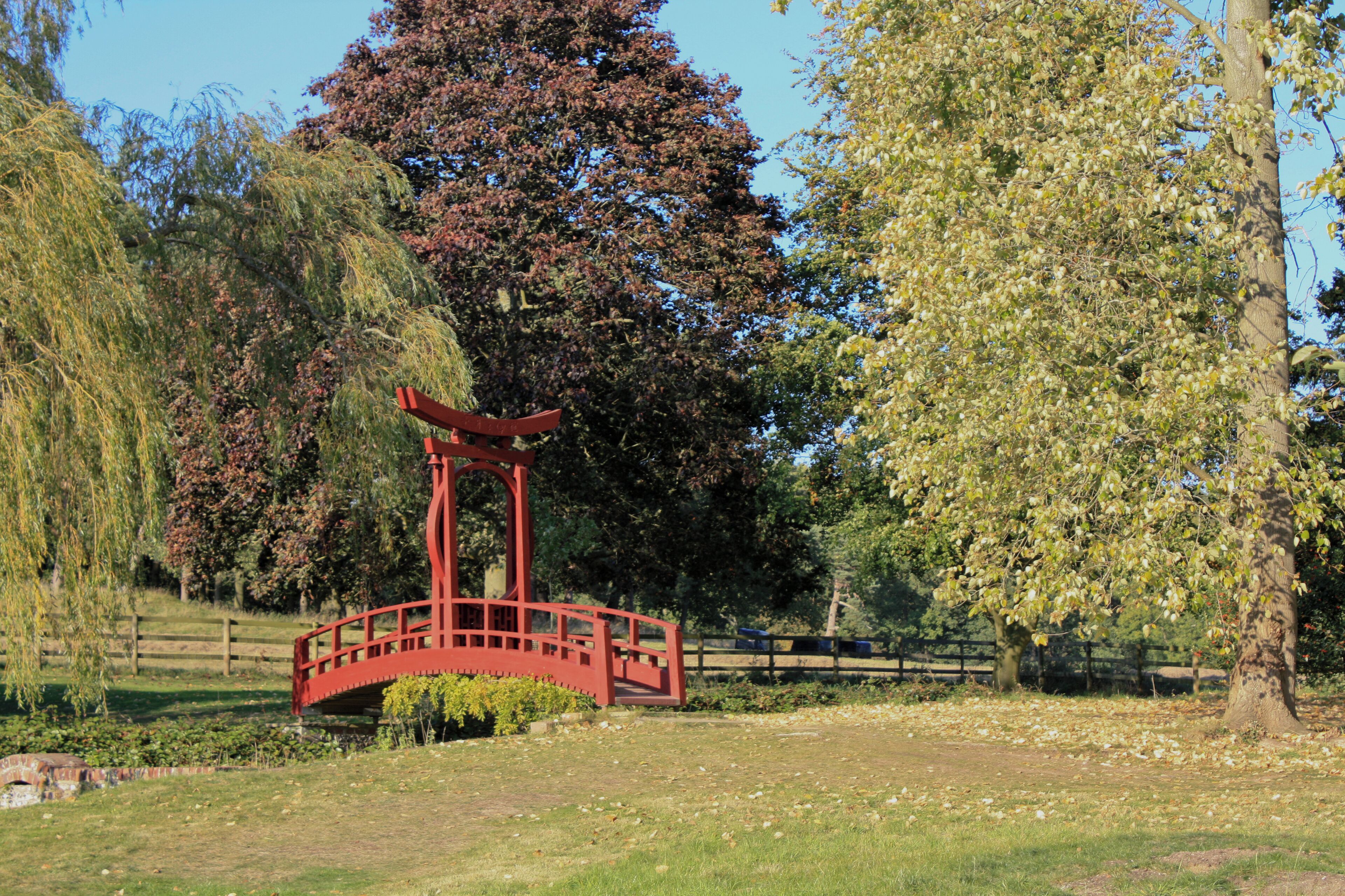 Un puente rojo en un parque, con árboles y una valla al fondo.