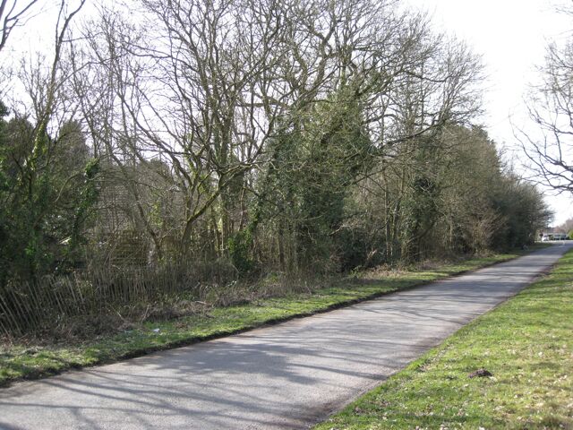Derelict woodland, Moat House, Honiley These are the grounds of a very secluded property at the corner of the A4177 and the Honiley turn. Pevsner's 'Warwickshire' refers to Moat Farmhouse, timber-framed, c.1500 with original roof-timbers. Located at 2¾ miles SE of Temple Balsall, this could be the site.