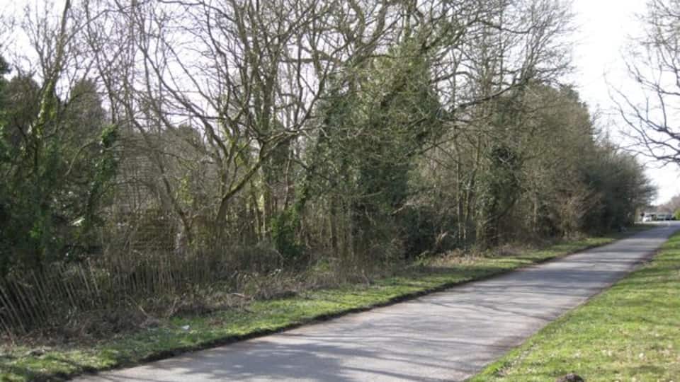 Derelict woodland, Moat House, Honiley These are the grounds of a very secluded property at the corner of the A4177 and the Honiley turn. Pevsner's 'Warwickshire' refers to Moat Farmhouse, timber-framed, c.1500 with original roof-timbers. Located at 2¾ miles SE of Temple Balsall, this could be the site.
