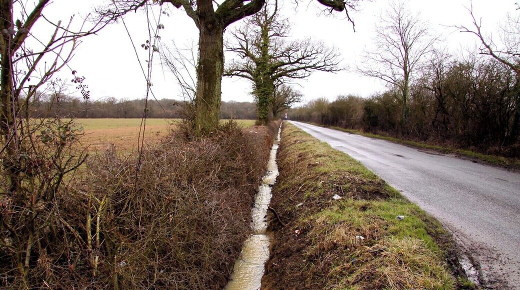 Drainage ditch at the side of the road