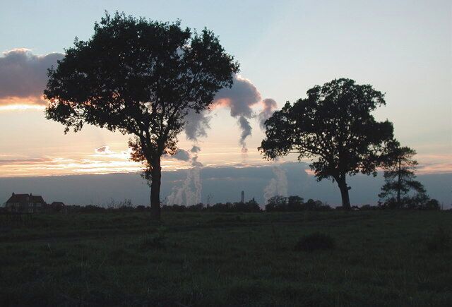 Howden Parks, Howden, East Riding of Yorkshire, England. Trees alongside the track to Park Farm at Howden Parks, looking west southwest from Duck Swang Drain with the sun setting behind Drax Power Station in the distance.