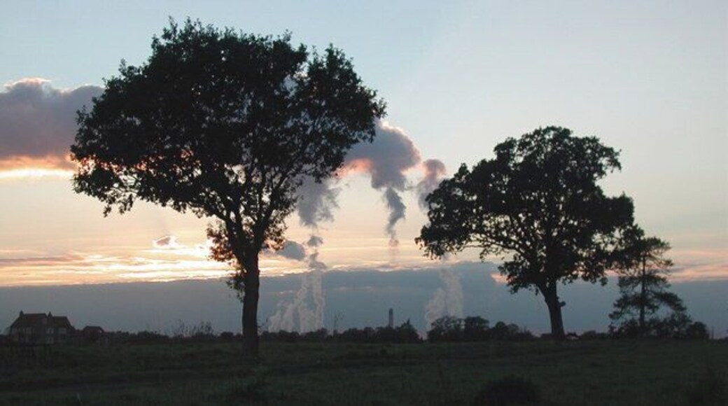Howden Parks, Howden, East Riding of Yorkshire, England. Trees alongside the track to Park Farm at Howden Parks, looking west southwest from Duck Swang Drain with the sun setting behind Drax Power Station in the distance.