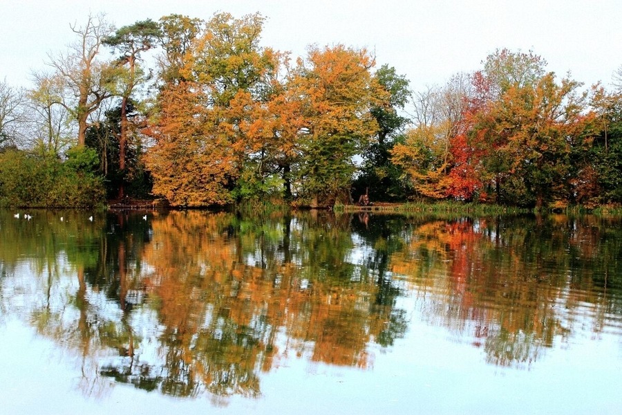 Fishing at Hunstrete Lake in Autumn