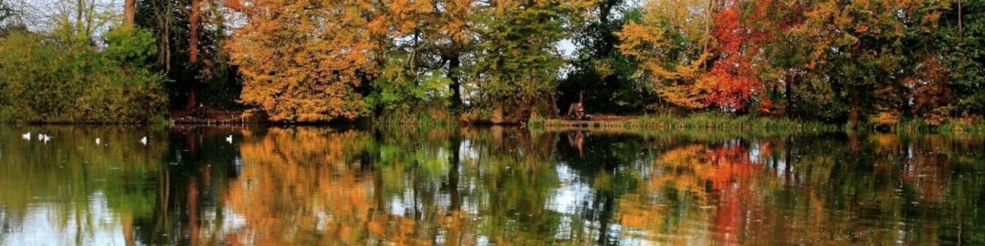 Fishing at Hunstrete Lake in Autumn