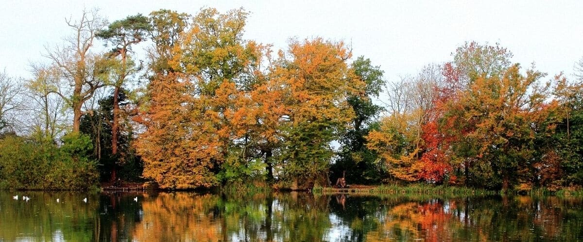 A calm lake reflecting autumn trees with orange and green foliage.