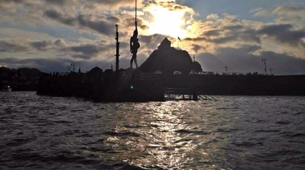 Verity at Ilfracombe Harbour entrance and St Nicholas Chapel on Lantern Hill - built in 1361 and houses the UK's oldest working lighthouse.
Coming back into Ilfracombe harbour on Ilfracombe Sea Safari.
#goldenhour