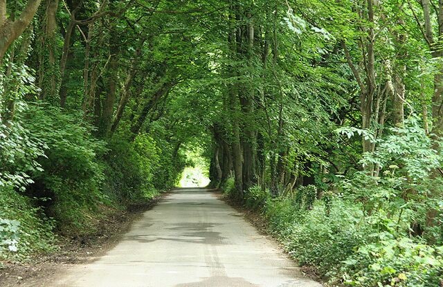 Berrynarbor: the Old Coast Road 2 A tarmaced section leading down to the A399 trunk road, its successor