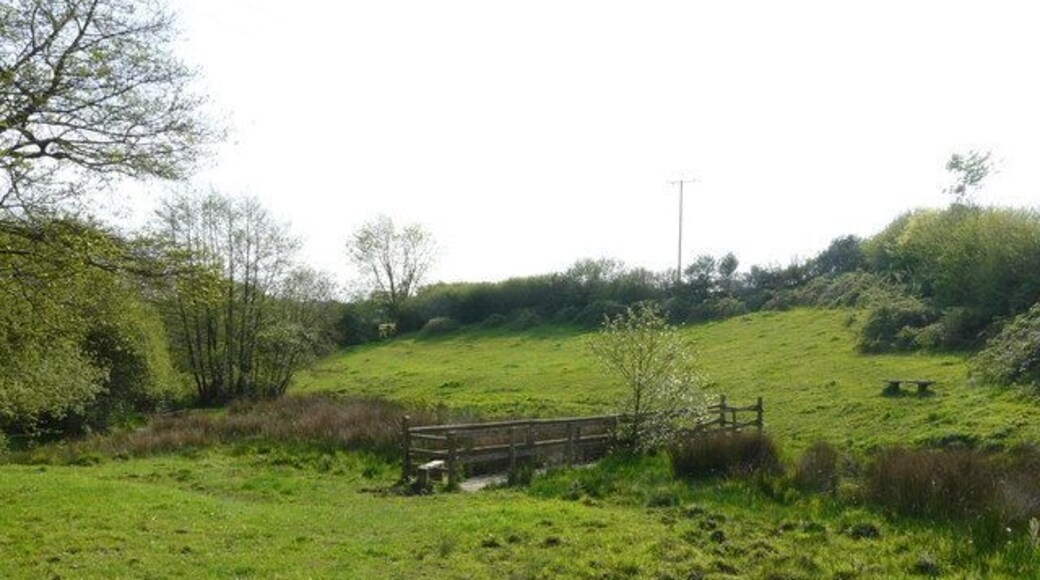 Stream & Bridge near West Down