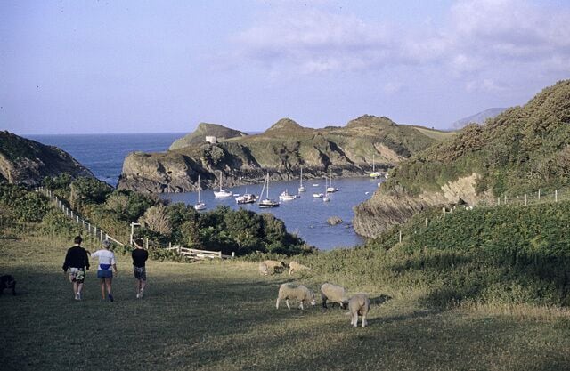 Widmouth Head and Watermouth Bay Widmouth Head is the mound just to the left of the image. The promontory at the centre is The Warren, with Sexton's Burrow at the left of this. The coastal path runs along the end of this field, where the fence is.