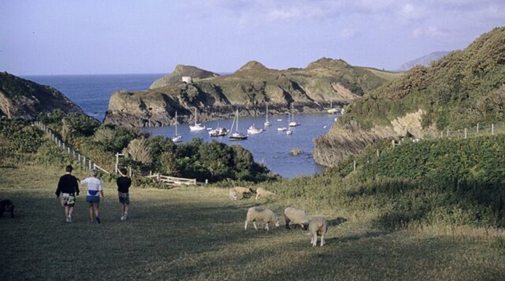 Widmouth Head and Watermouth Bay Widmouth Head is the mound just to the left of the image. The promontory at the centre is The Warren, with Sexton's Burrow at the left of this. The coastal path runs along the end of this field, where the fence is.