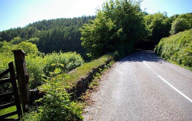 Road to Henstridge It is assumed that the wood top left of picture is Henstidge Wood.