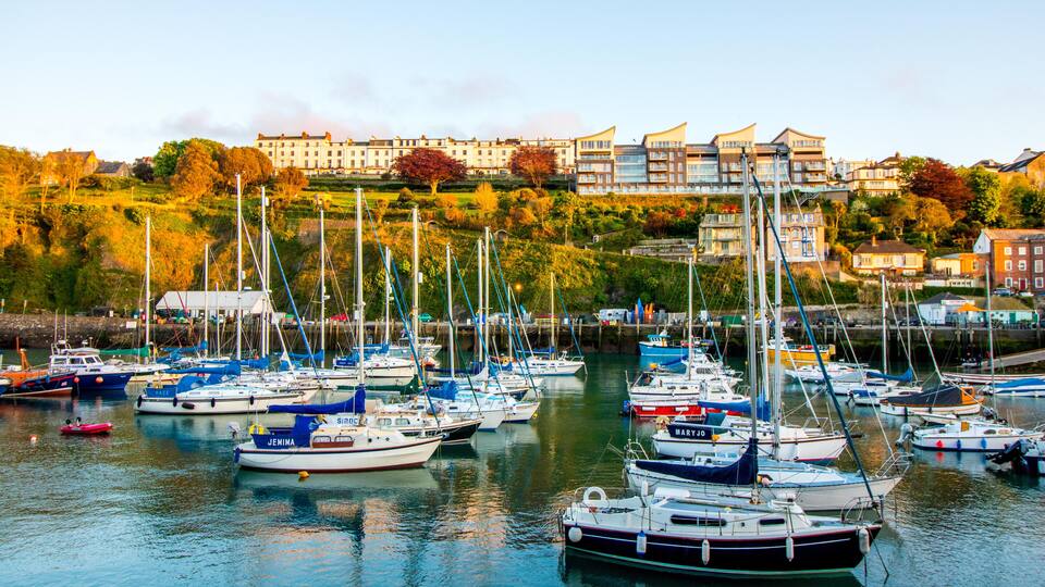 A marina with various boats docked, surrounded by buildings and trees.