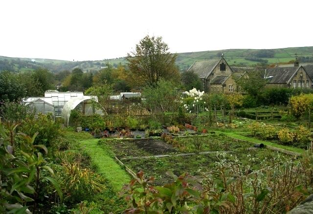 Allotments - Colne Road