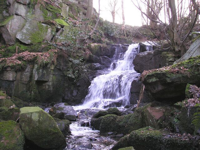 Waterfall on Steeton Beck Hidden away in a deep clough near the road.