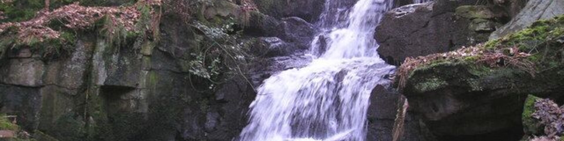 Pequena cascata descendo sobre rochas cobertas de musgo em área arborizada.