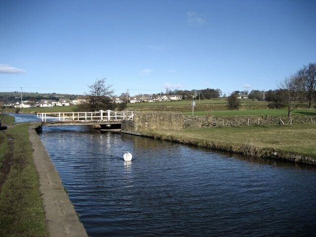 A canal with a white bridge, a white swan, and houses in the background.