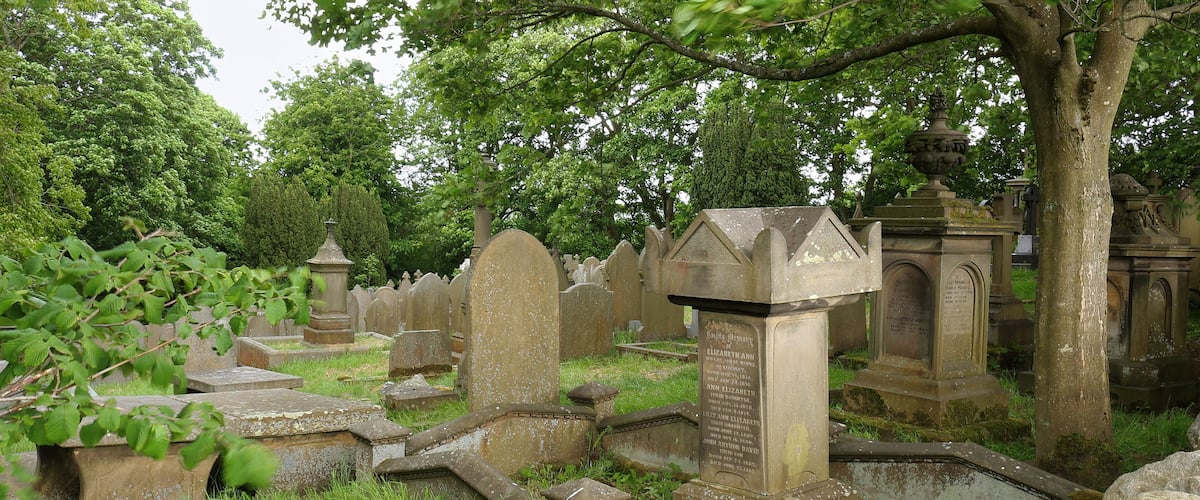 A cemetery with stone headstones, a large tree, and a fountain.