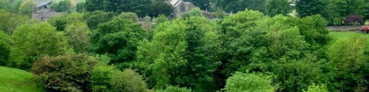 Üppige grüne Landschaft mit einer Kirche und umliegenden Bäumen.