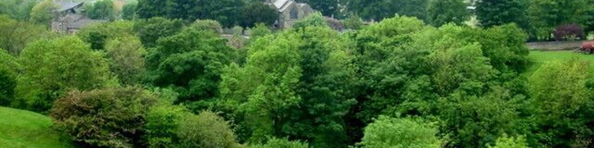 A lush green landscape with a church and surrounding trees.