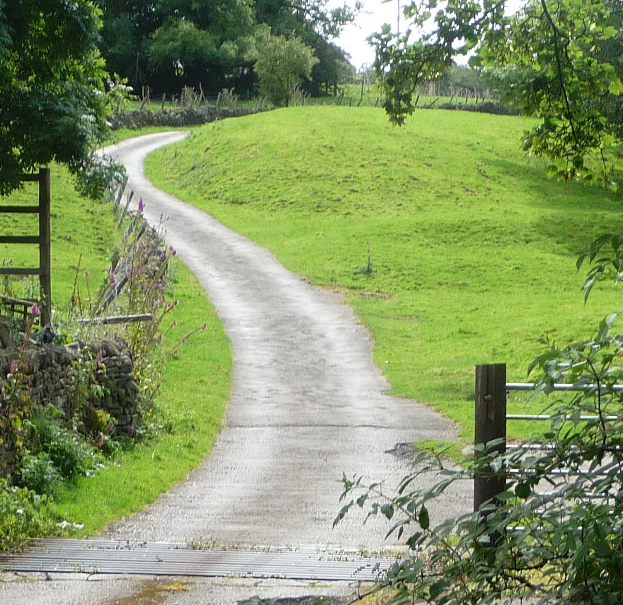 into the fields of Cononley