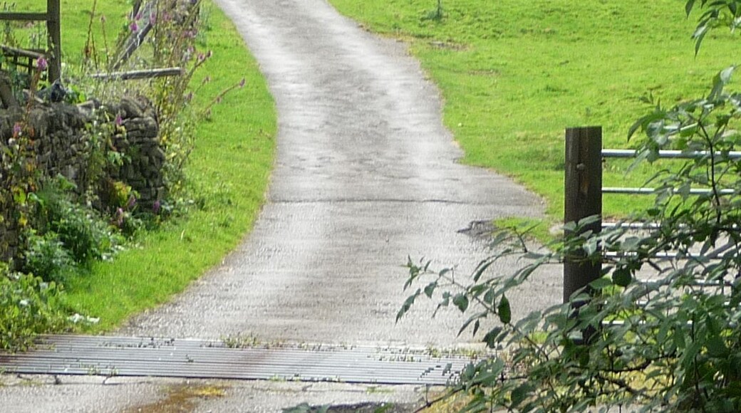 into the fields of Cononley