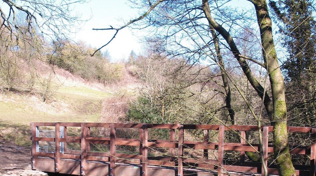 Footbridge over the beck Footbridge over Gill Beck. The bridge marked as Ridge Mill Bridge some 400m downstream has gone, so this is the next alternative crossing point.
