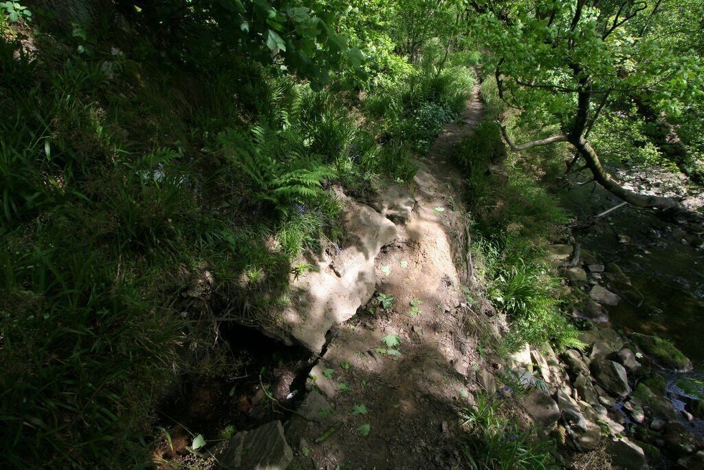 Mill Stream, Newsholme Dean Looking downstream, the covered mill stream on the left has collapsed. Dean Beck is on the right.