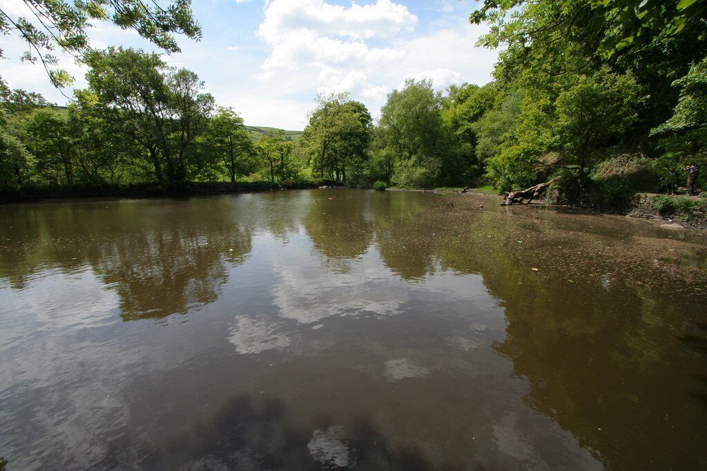Mill Pond, Goose Eye