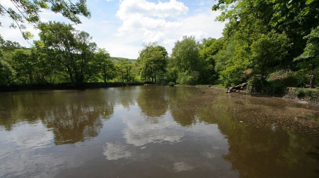 Mill Pond, Goose Eye