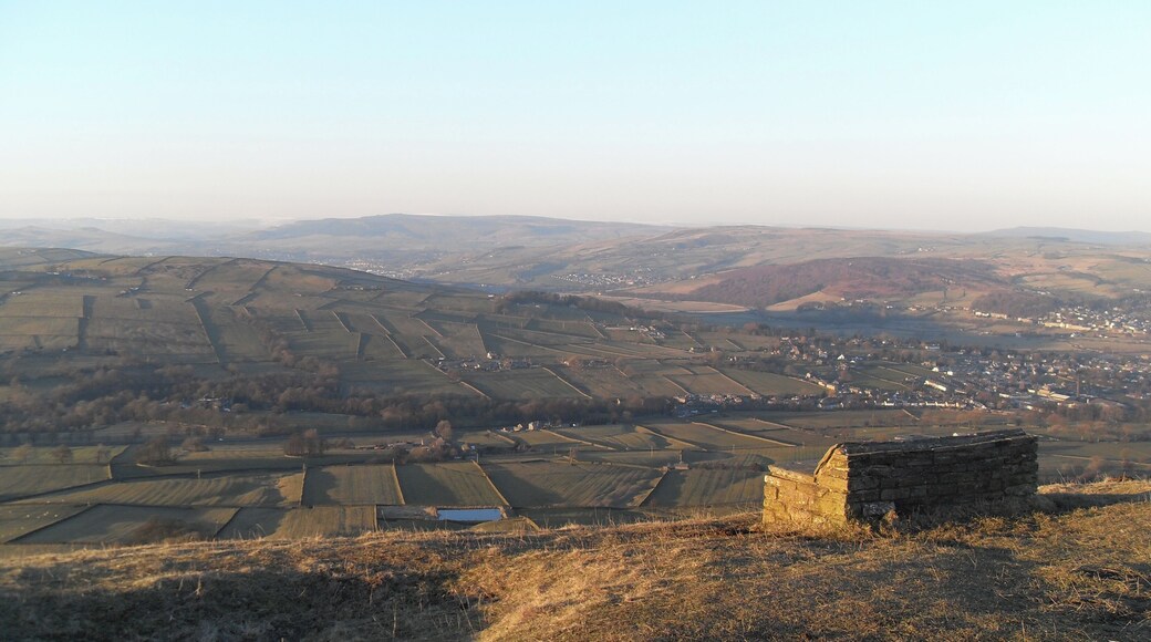 Sit back and enjoy the view...