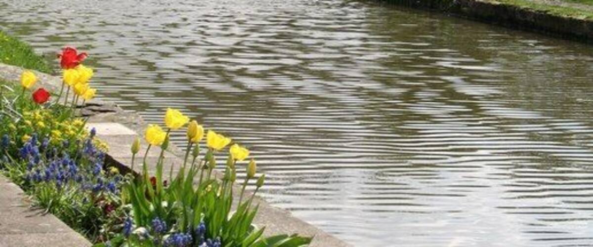 The canal at Low Bradley A view of the Leeds and Liverpool canal at Low Bradley.