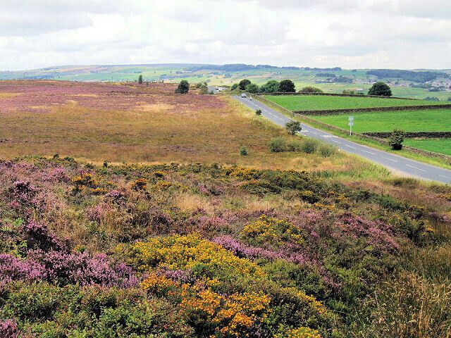 A rural landscape with a road, fields of heather, and distant hills.