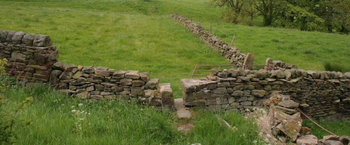A stone wall leading through a green field with trees and hills in the background.