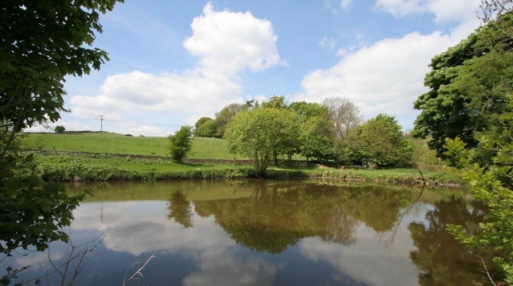 Millpond near Goose Eye