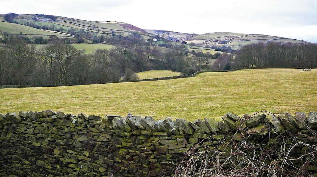between Lothersdale and Cononley