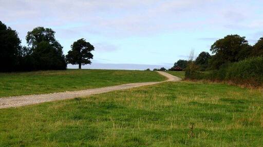 Track to Spring Hill