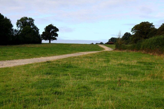 A gravel path in a grassy field with trees and a distant view.