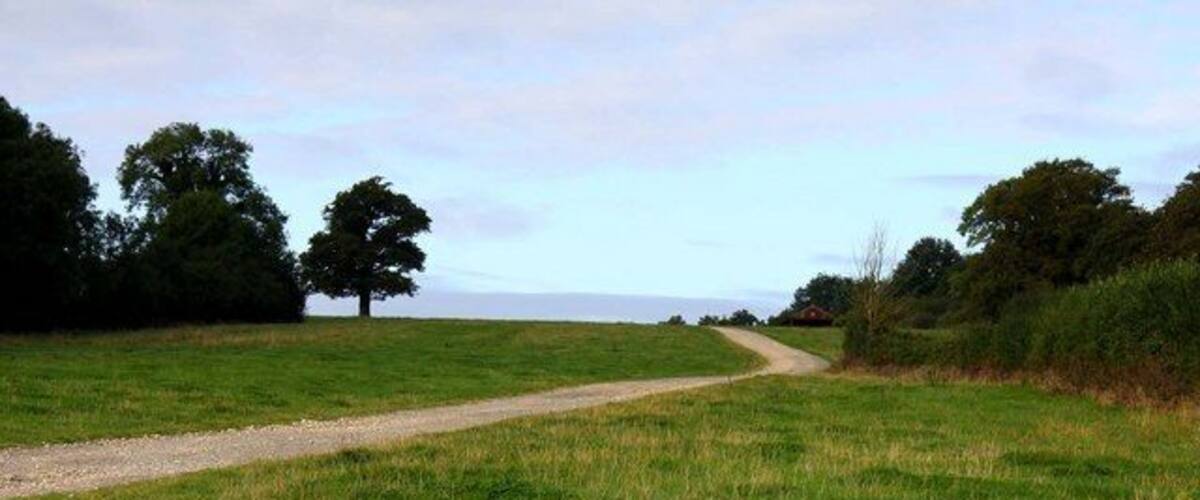 A gravel path in a grassy field with trees and a distant view.
