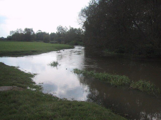 A calm river with ducks, surrounded by grassy banks and trees.