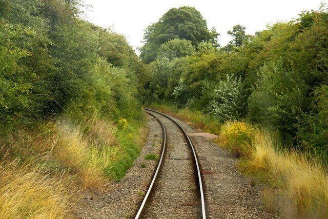 Railway tracks curving through a wooded area with dense foliage.
