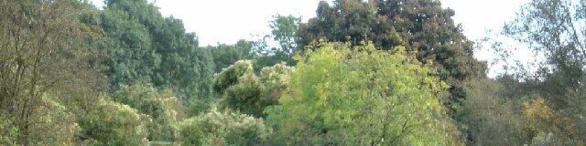 Oxford Canal. Looking to the South, the Oxford Canal to the North of Pigeons Lock.