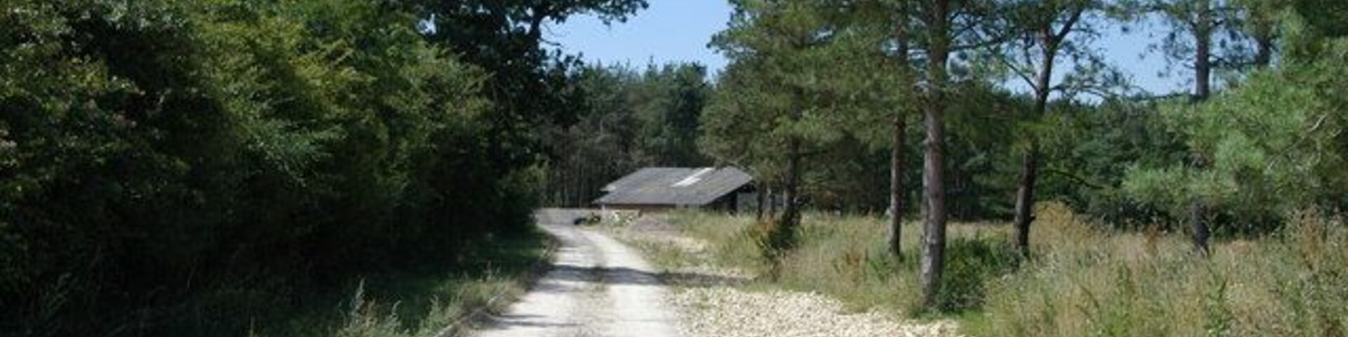 Whitecross Green Wood, Horton-cum-Studley, Buckinghamshire: view from entrance gate of track leading to fishing pool.