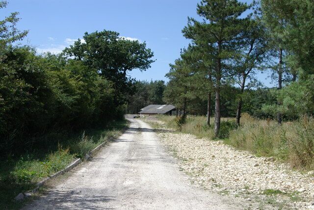A gravel road flanked by trees and vegetation, leading to a building with a sloped roof.