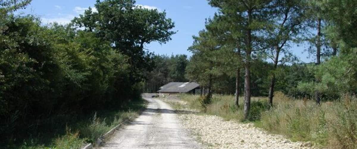 A gravel road flanked by trees and vegetation, leading to a building with a sloped roof.