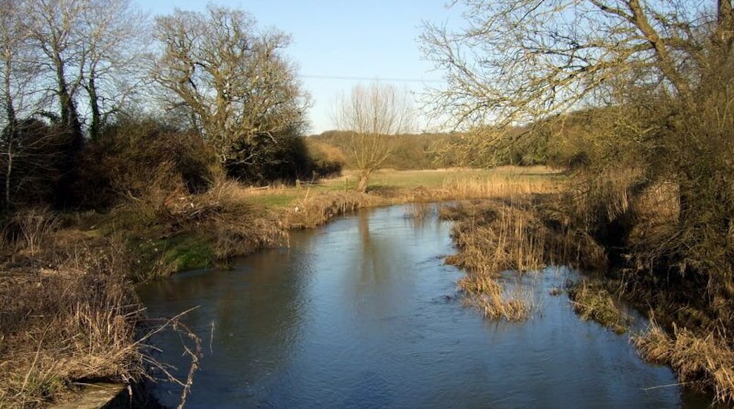 The River Cherwell near Pigeon Lock The river and the canal are intertwined at this point. This is the Cherwell, looking upstream, from the concrete bridge that carries the bridleway to/from Pigeon Lock over the river.