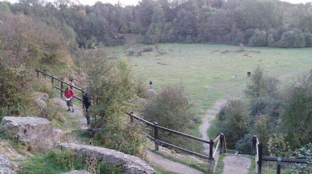 Kirtlington quarry A famous site for Jurassic fossils