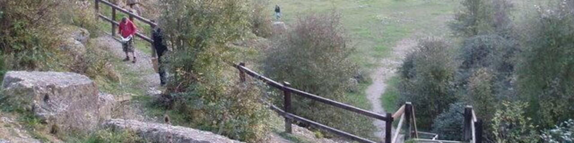 A hiking trail with wooden railings, surrounded by grass and trees.