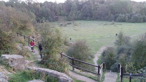 Kirtlington quarry A famous site for Jurassic fossils