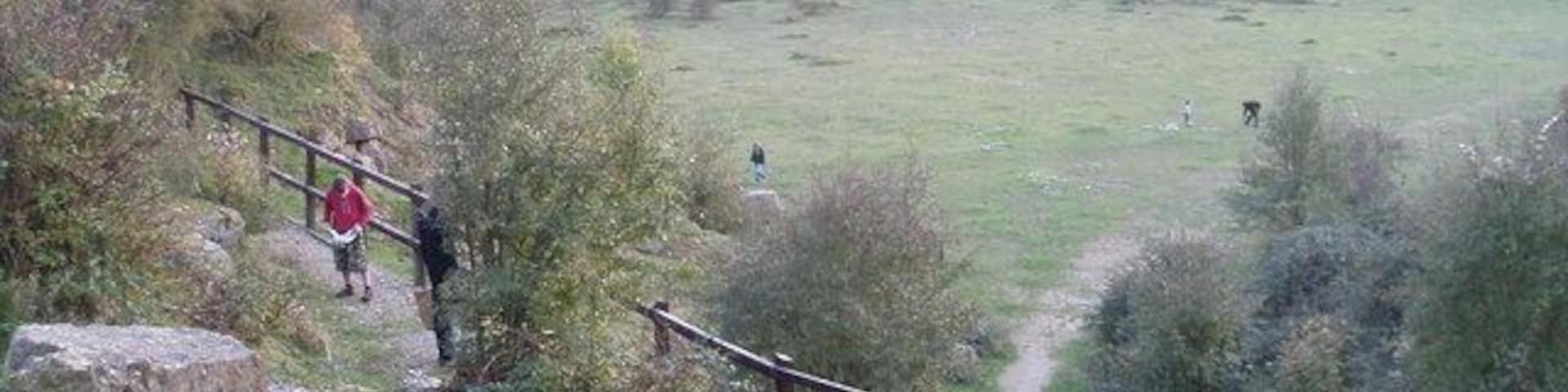 Kirtlington quarry A famous site for Jurassic fossils